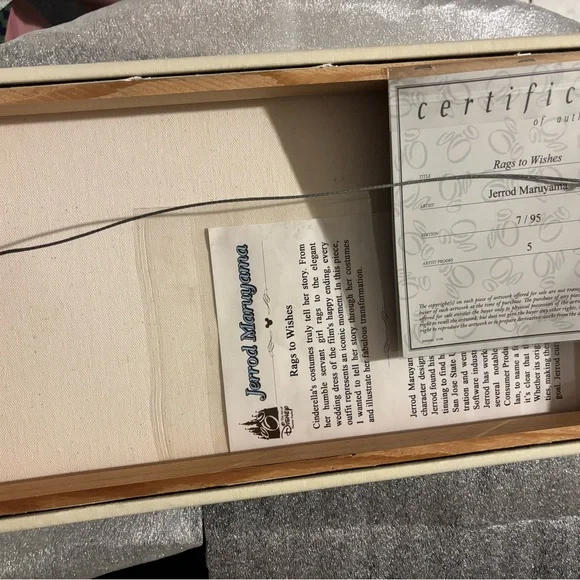 Jerrod Maruyama Disney Cinderella Wrapped 'Rags to Wishes' Collectible Canvas - Picture 4 of 7